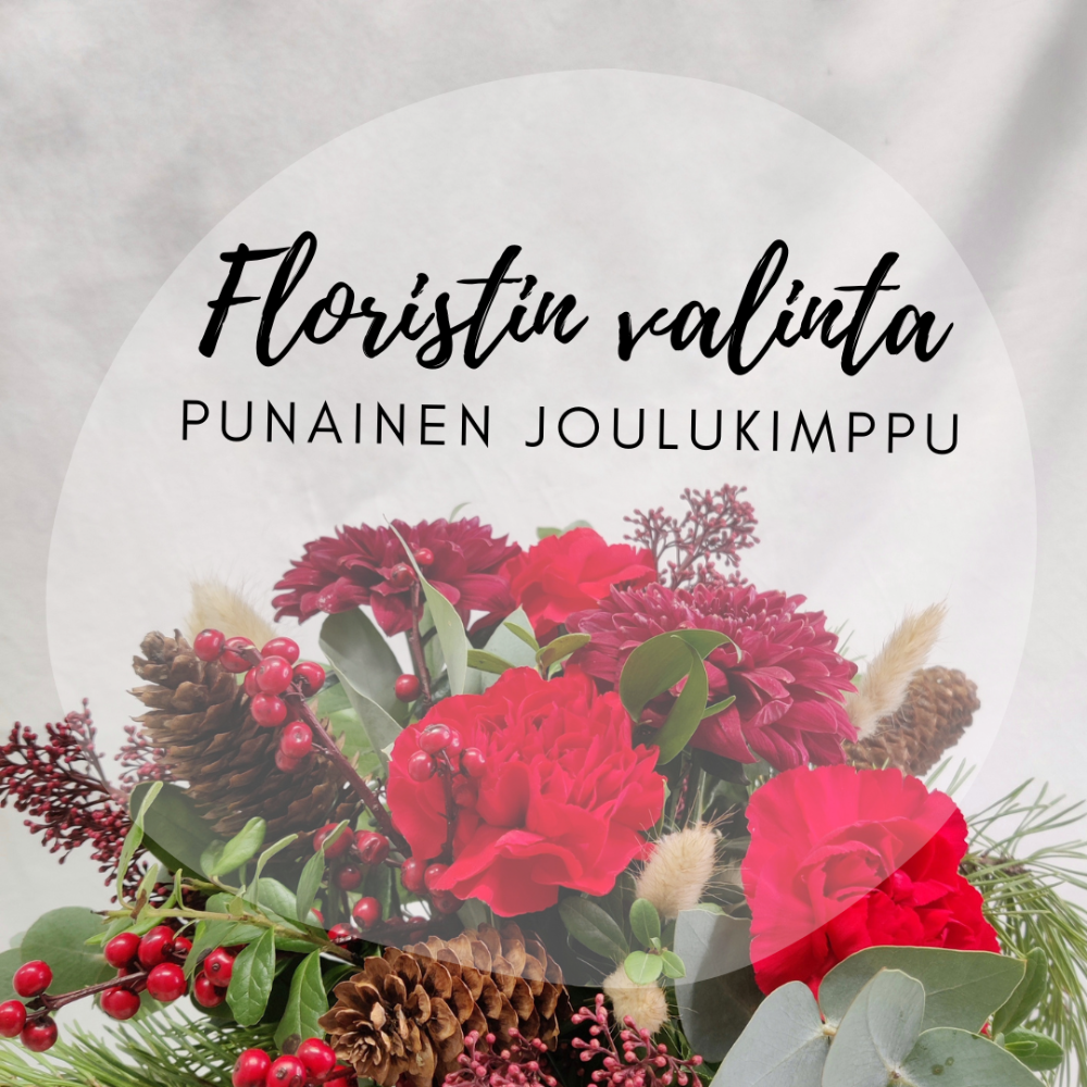 Floristin valinta, punainen joulu